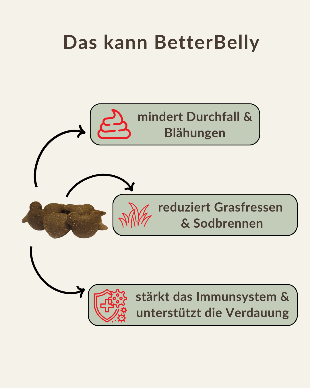 BetterBelly hilft bei Durchfall, Blähungen, Grasfressen und stärkt das Immunsystem von Hunden
