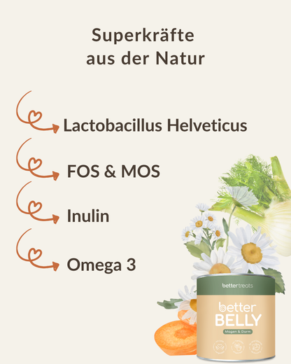 Natürliche Zutaten wie Kamille, Fenchel und Inulin – zur Beruhigung des Hundemagens und Stärkung der Darmflora
