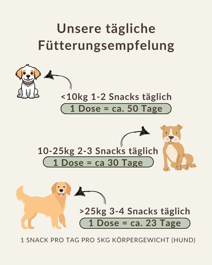 Empfohlene Tagesmenge BetterBelly für Hunde – einfache Dosierung zur täglichen Anwendung bei Magen-Darm-Problemen
